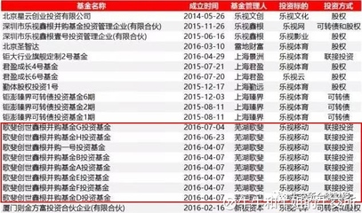 被樂視辜負的資本盛宴 大佬、明星與近百機構的未解困局